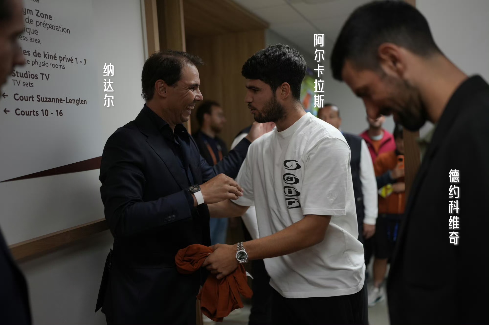  费德勒陈奕迅vs樊振东张之臻 